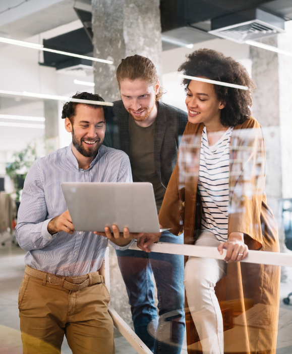 CMMI appraisal cost